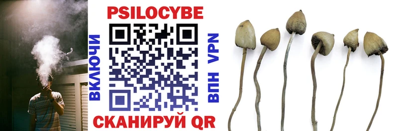 Псилоцибиновые грибы Psilocybine cubensis  купить наркоту  Белая Холуница 